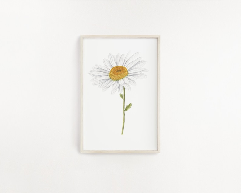 May include: A framed print of a white daisy with a yellow center, drawn in a simple, minimalist style.