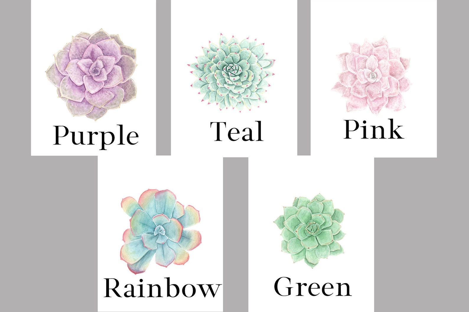 Set of Watercolor Succulents Succulent Prints Colorful - Etsy