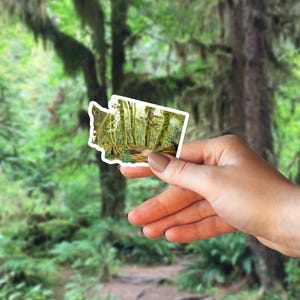 May include: A sticker shaped like the state of Washington with a photo of a lush green forest path. The sticker is being held in a hand.