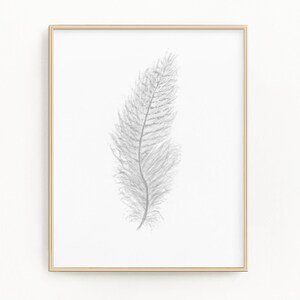 White Watercolor Feather, Feather Print, Boho Feather Art, Grey Feather, Bird Feather, Grey Decor, Feather wall art, Tribal Feather Art