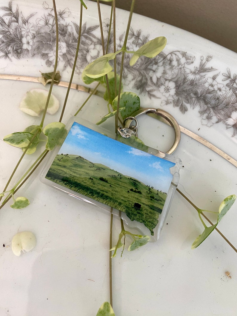 Landscape Keychain Wind Cave National Park Keychain, South Dakota Acrylic Buffalo Souvenir ...