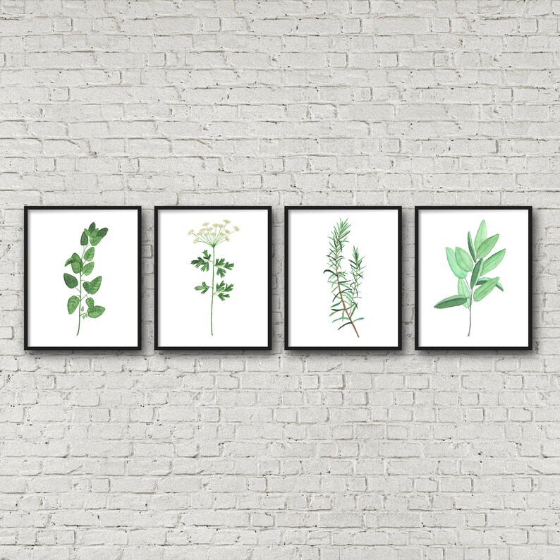 Botanical Herb Watercolor Print, Kitchen Wall Art - Etsy