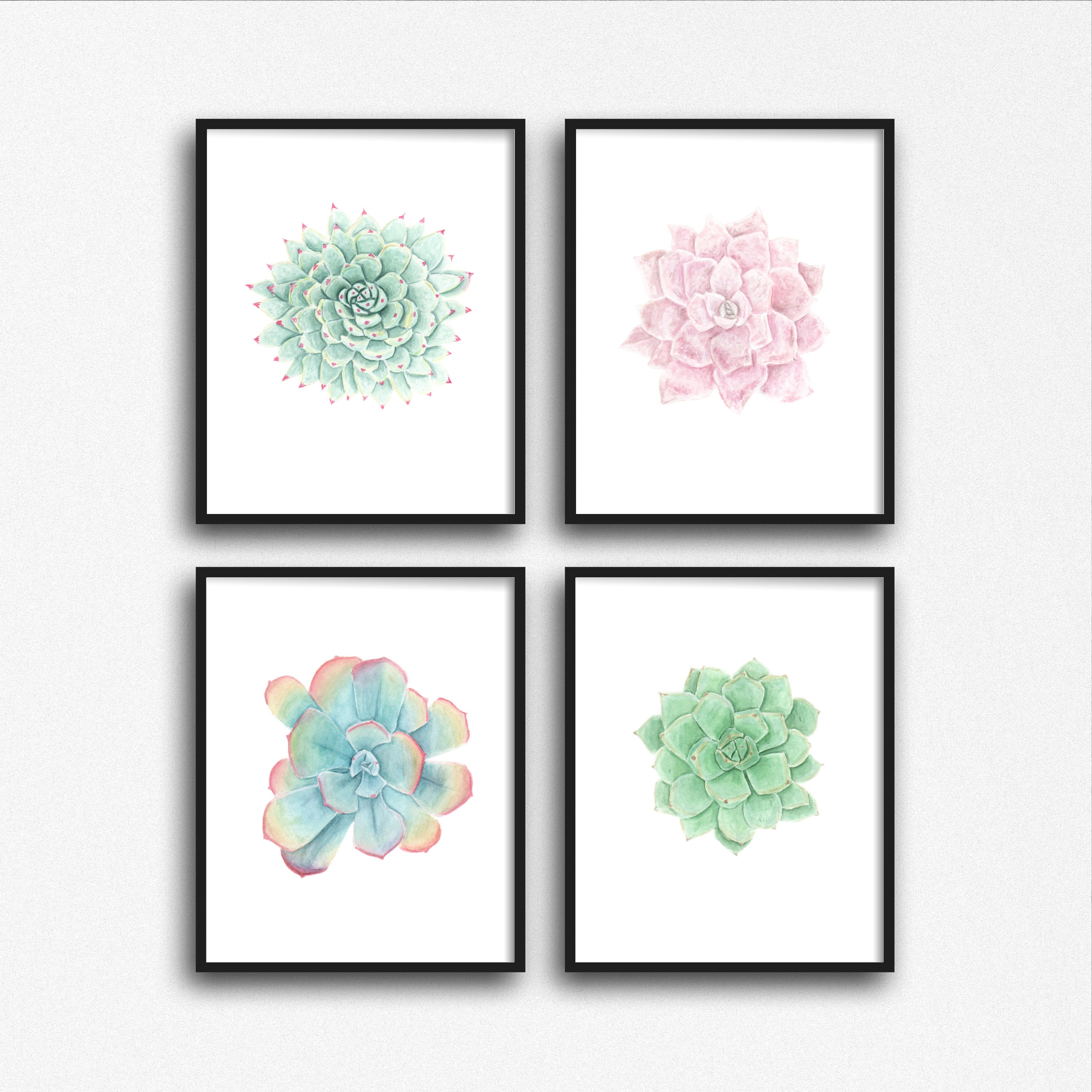 Set of Watercolor Succulents Succulent Prints Colorful | Etsy