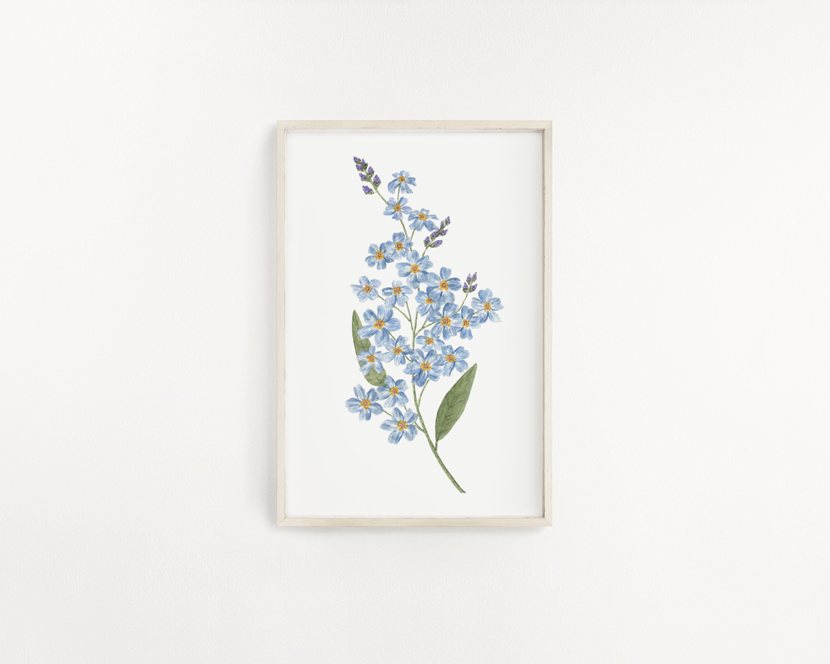 Forget Me Nots Print, Watercolor Forget me not Painting, Blue Florals, Alaska State Flower, Blue Flower painting, Watercolor Botanicals