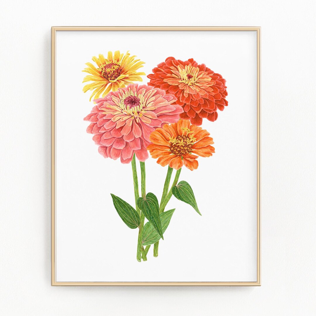 Zinnia Print, Watercolor Zinnias Painting, Multicolor
