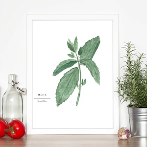 Mint Watercolor Painting, Kitchen Wall Art, Fine Art Print, Wall Art, Home Decor, Herb Painting, Botanical Art, Gardener Present, Peppermint