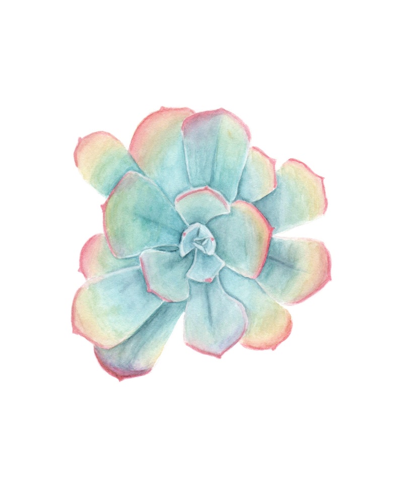 Set of Watercolor Succulents Succulent Prints Colorful | Etsy
