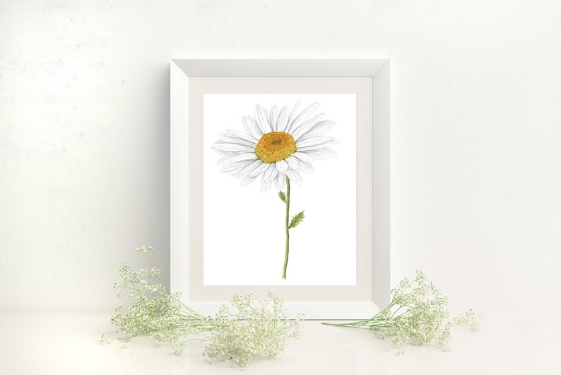 May include: A white framed print of a single white daisy with a yellow center on a white background. The print is sitting on a white surface with white baby's breath flowers on either side.