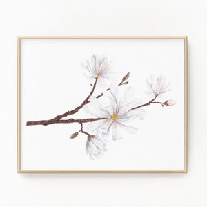 マグノリアのプリント、水彩画のマグノリアの絵画、春の花、花のアートプリント、スターマグノリア、ルイジアナ州の花、水彩画の植物