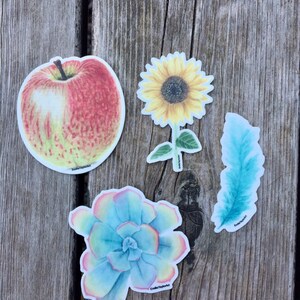 Puede incluir: Cuatro pegatinas coloridas que representan una manzana roja, un girasol amarillo, una suculenta azul y una pluma azul. Las pegatinas est&aacute;n sobre una superficie de madera.