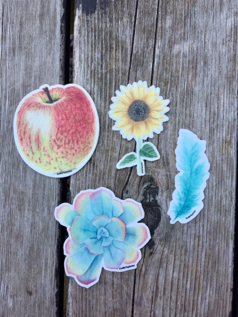 Puede incluir: Cuatro pegatinas coloridas que representan una manzana roja, un girasol amarillo, una suculenta azul y una pluma azul. Las pegatinas est&aacute;n sobre una superficie de madera.