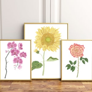 May include: Three framed botanical prints featuring a pink orchid, a yellow sunflower, and a pink and yellow rose. The prints are displayed on a white wall with gold frames.