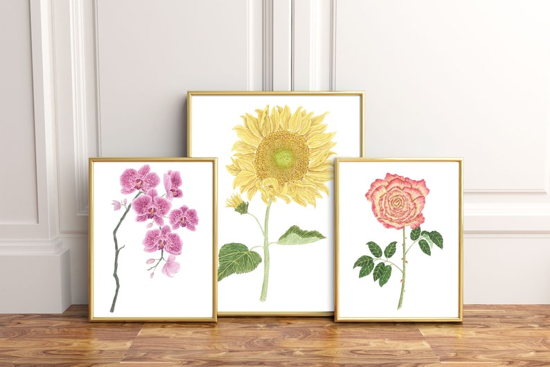 May include: Three framed botanical prints featuring a pink orchid, a yellow sunflower, and a pink and yellow rose. The prints are displayed on a white wall with gold frames.