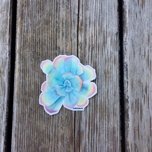 Puede incluir: Una pegatina con una ilustraci&oacute;n de acuarela de una suculenta azul con bordes rosas, amarillos y verdes. La pegatina tiene el texto "Emilie Taylor Art" en la parte inferior.