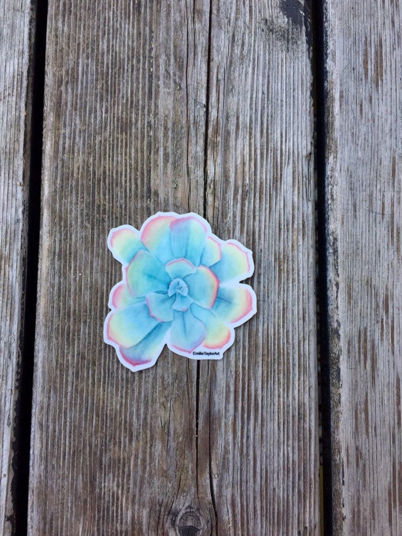 Puede incluir: Una pegatina con una ilustraci&oacute;n de acuarela de una suculenta azul con bordes rosas, amarillos y verdes. La pegatina tiene el texto "Emilie Taylor Art" en la parte inferior.