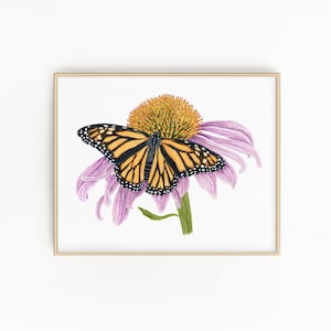 Monarch and Cone Flower Print | Watercolor Monarch Butterfly Painting | Painting of Butterflies | Monarch Butterfly Print | Cone Flower Art