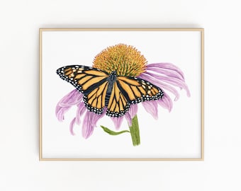 May include: A framed print featuring a monarch butterfly resting on a purple coneflower. The butterfly has orange and black wings with white spots. The flower has a yellow center and green stem. The artwork is set against a white background.