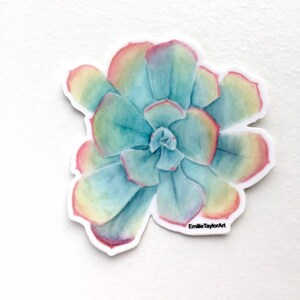 Puede incluir: Pintura acuarela de una planta suculenta con tonos rosados, amarillos y verdes. La suculenta se representa de forma realista con hojas detalladas y una roseta central. La obra de arte est&aacute; firmada "EmilieTaylorArt" en la esquina inferior derecha.