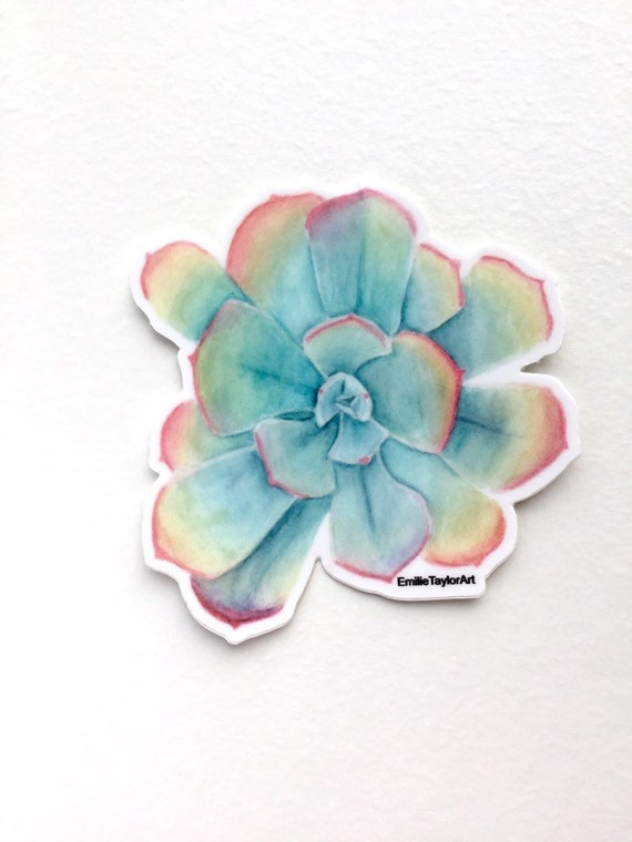 Watercolor Rainbow Succulent Sticker, Waterproof Vinyl Decal