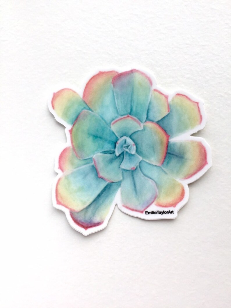 Puede incluir: Pintura acuarela de una planta suculenta con tonos rosados, amarillos y verdes. La suculenta se representa de forma realista con hojas detalladas y una roseta central. La obra de arte est&aacute; firmada "EmilieTaylorArt" en la esquina inferior derecha.