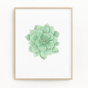 Green Succulent Print, Watercolor Succulent Painting, Botanical Art prints, Succulent, Succulent Decor, Desert plant, Green Succulent, cacti