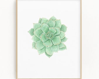 Watercolor Succulent Print, Botanical Wall Art