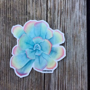 Puede incluir: Una pegatina con una ilustraci&oacute;n de acuarela de una suculenta azul con bordes rosados y amarillos. La pegatina tiene el texto "Emilie Taylor Art" en la parte inferior.