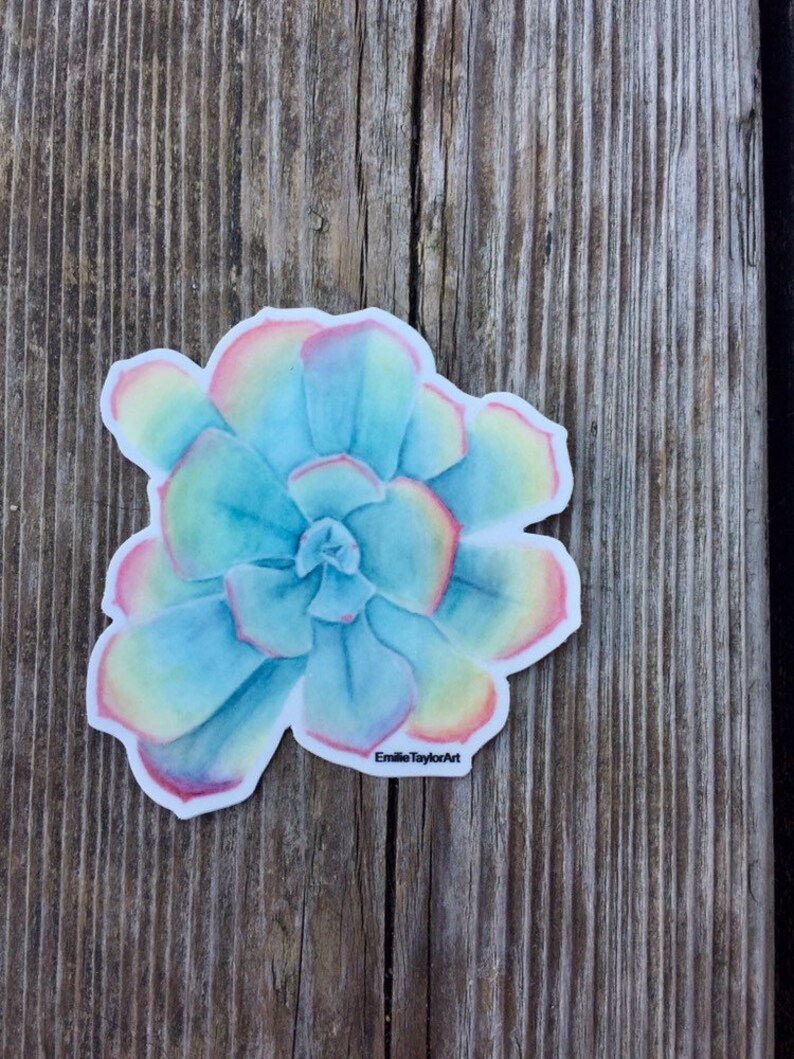 Puede incluir: Una pegatina con una ilustraci&oacute;n de acuarela de una suculenta azul con bordes rosados y amarillos. La pegatina tiene el texto "Emilie Taylor Art" en la parte inferior.