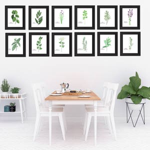 Watercolor Herb Paintings with names, Botanical Wall art, Kitchen wall decor, Gardener Gift, Dining Room art, Herb paintings
