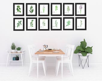 Watercolor Herb Botanical Print, Kitchen Wall Art