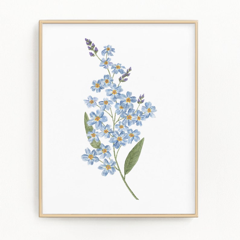 Watercolor Botanicals Forget Me Nots Print Blue Florals Floral Art Print Blue Flower Painting Watercolor Forget Me Not Painting Watercolor Painting Retropakhuis Com