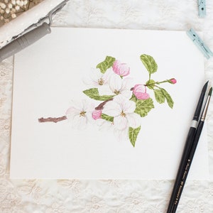 Watercolor Apple Blossom Print, Arkansas State Flower, Floral Art - Etsy