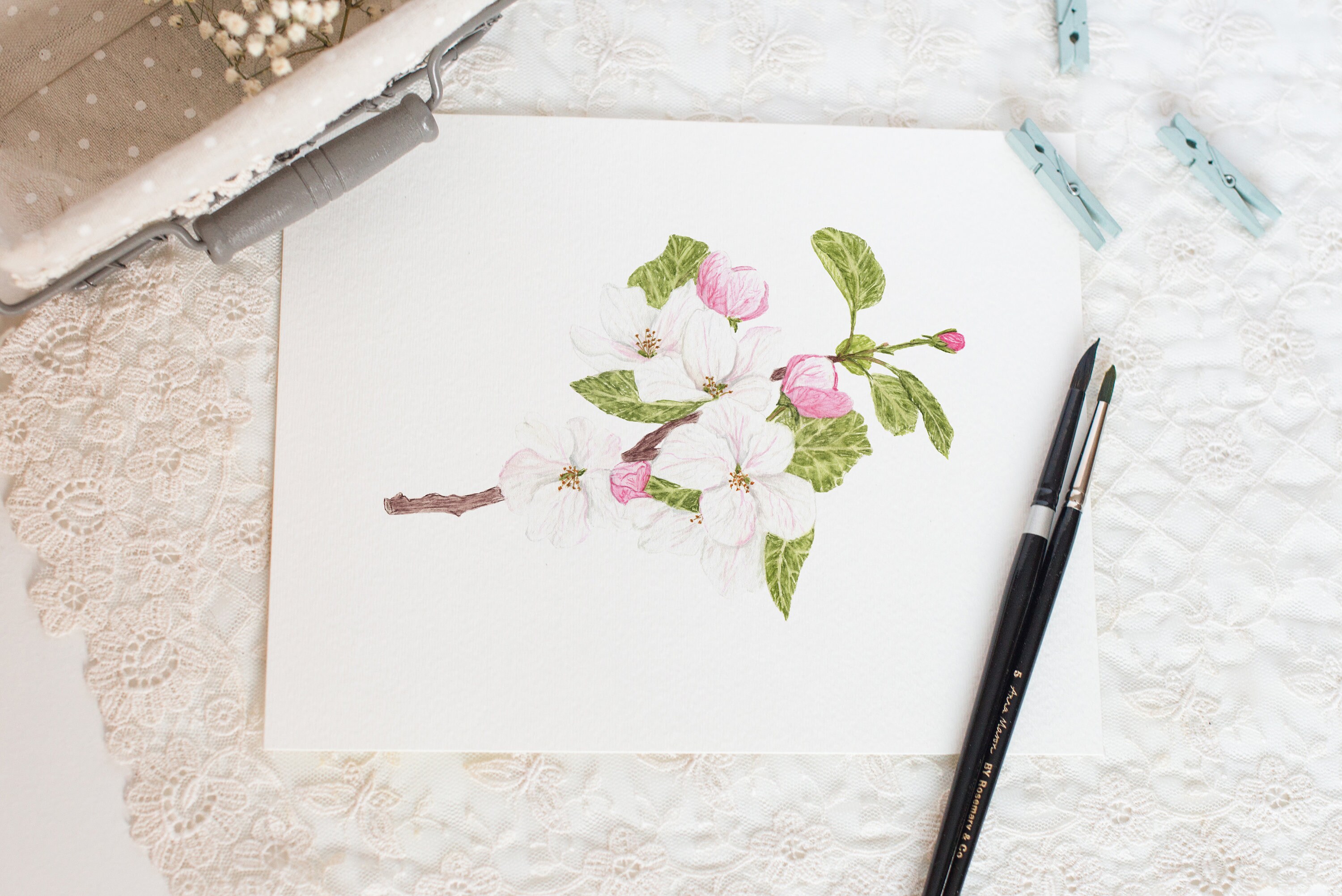 Watercolor Apple Blossom Print, Arkansas State Flower, Floral Art - Etsy