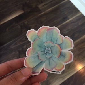 Puede incluir: Una pegatina de suculenta acuarela con un esquema de color azul claro, verde, amarillo y rosa. La pegatina tiene un fondo blanco y el texto "EmilieTaylorArt" en negro en la parte inferior.