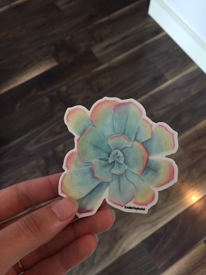 Puede incluir: Una pegatina de suculenta acuarela con un esquema de color azul claro, verde, amarillo y rosa. La pegatina tiene un fondo blanco y el texto "EmilieTaylorArt" en negro en la parte inferior.