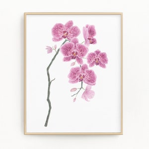 Orchid Print, Watercolor Orchid Painting, Orchid Art, Floral Art, Floral Print, Floral Home Decor, Flower Art, Purple Orchids, Orchid gift