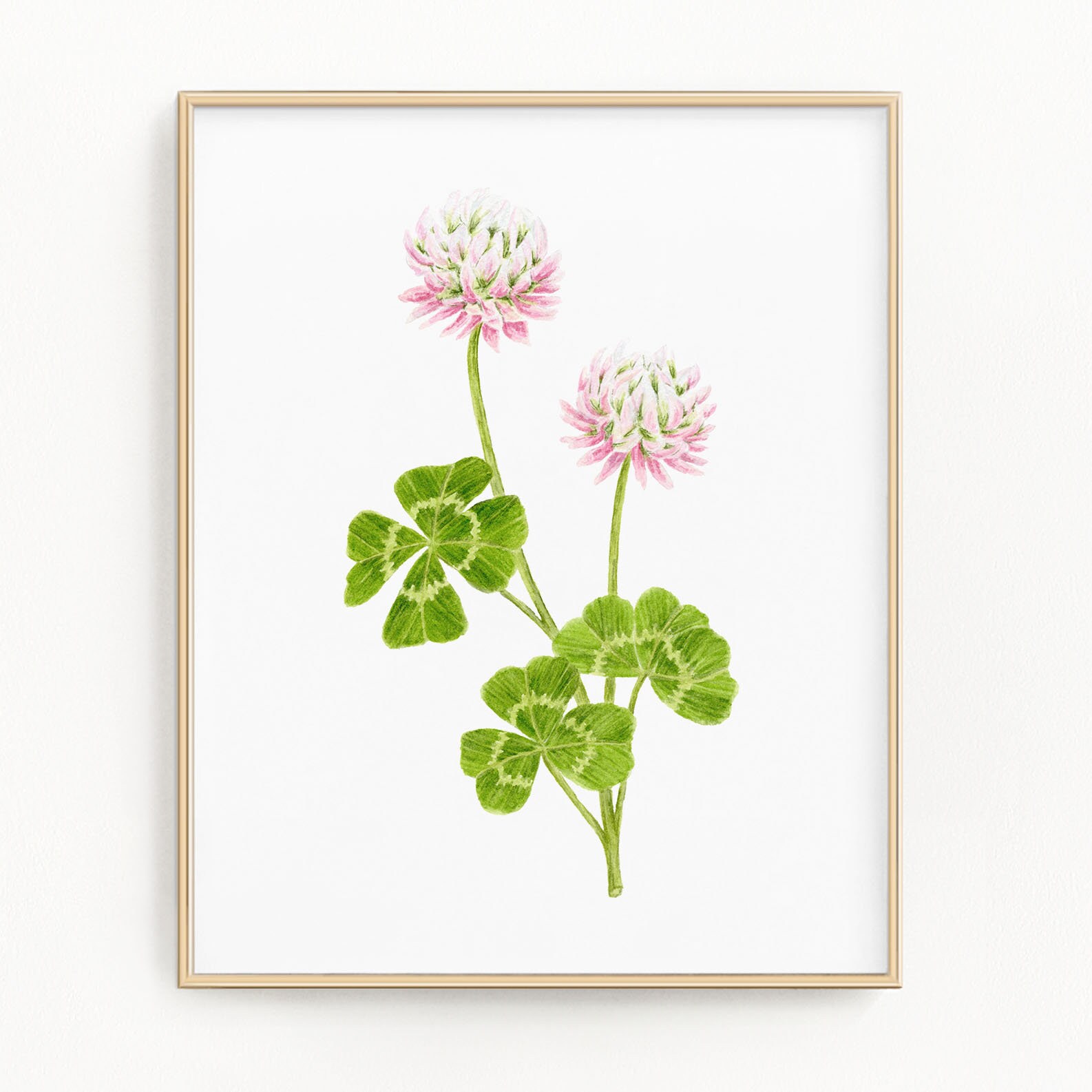 Impression de trèfle, peinture trèfle à l'aquarelle, trèfle à 4 feuilles, fleurs de trèfle, art trèfle, art floral, trèfles roses, trèfles à 3 feuilles