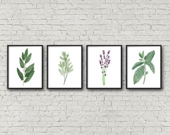 FRAMED Botanical Herb Watercolor Paintings, Kitchen Art, Fine Art Print, Herb Painting, Botanical Art, Gardener Gift, Gift for Mom, Garden