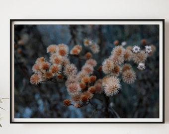 Botaniskt fotografi av torkade blommor, höstens naturkonst (digitalt utskrivbar)