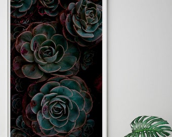 Dark Succulent Photo Art Print, Botanical Wall Decor (Digital Download)