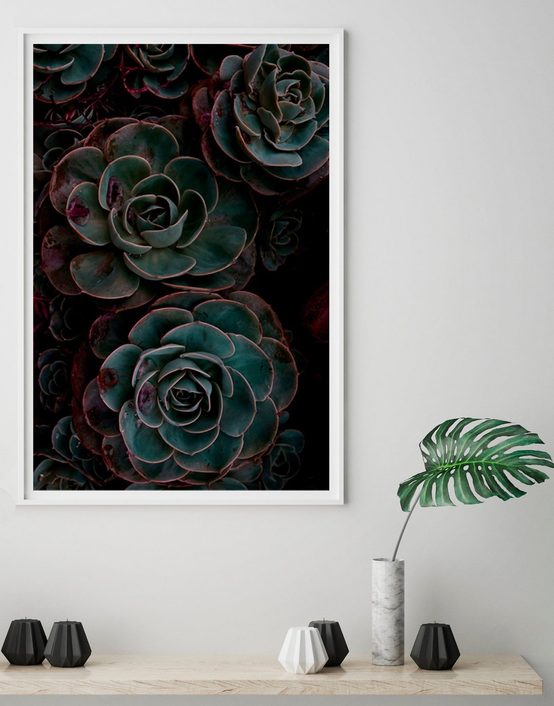 Dark Succulent Photo Art Print, Botanical Wall Decor (digital Download ...