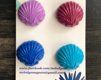 Seashell Magnets