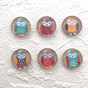 Owl Magnets 6 pack