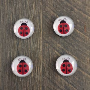 Ladybird 3D Wiggly Fridge Magnets – Colourful Moving Ladybugs – Shopping List Holder