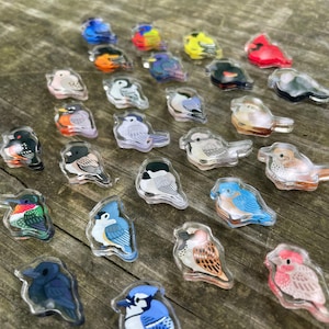 backyard Birds mini magnets!