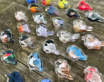 backyard Birds mini magnets!