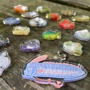 May include: A selection of colourful, transparent fish-shaped acrylic charms. The charms display various designs and colours, including blue, red, yellow, and green. The charms are scattered on a wooden surface, creating a playful and eye-catching display.