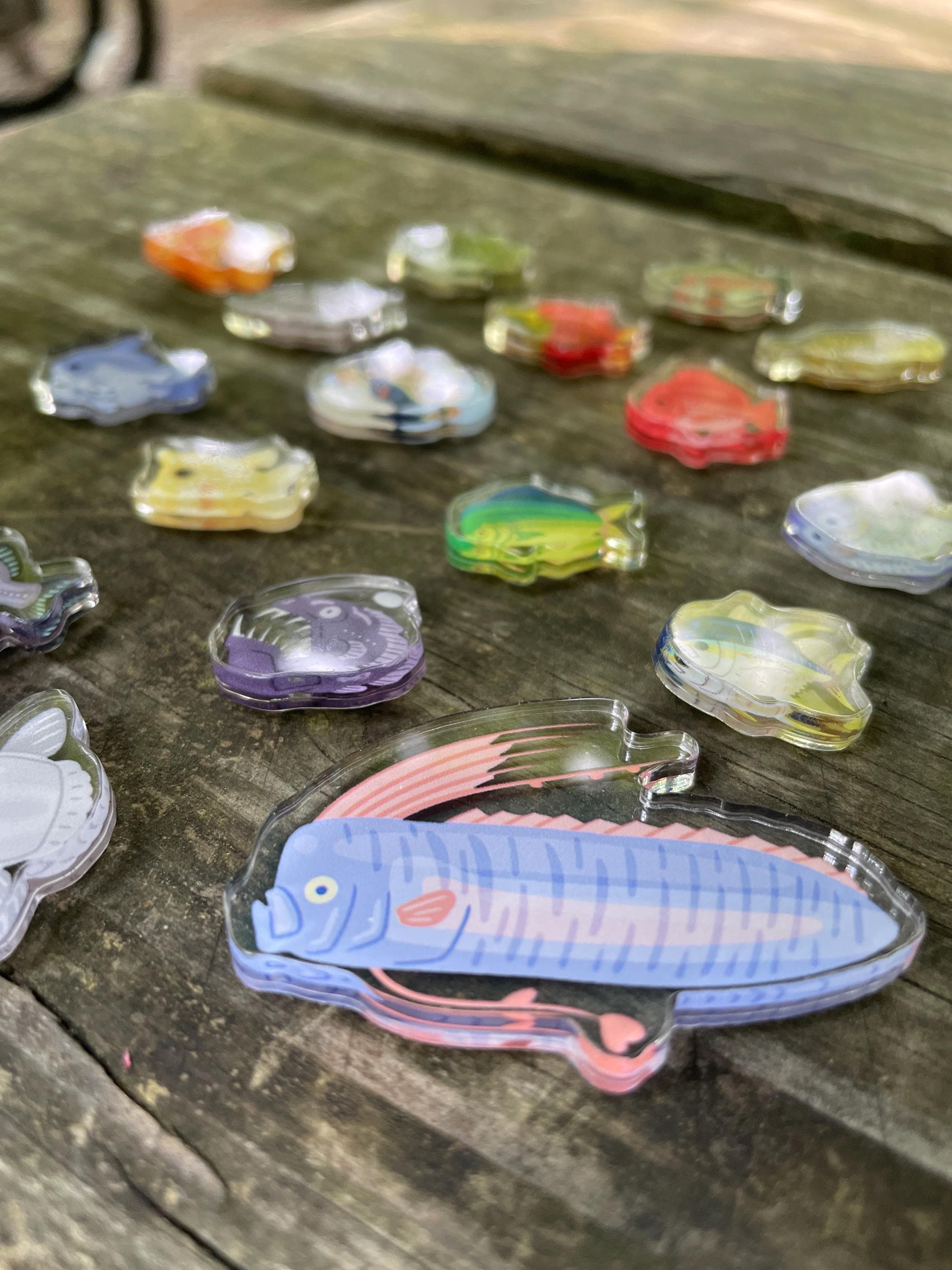 Fish mini magnets!
