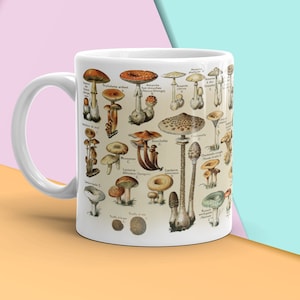 Peut inclure: Mug en c&eacute;ramique blanche avec une illustration color&eacute;e de diff&eacute;rents types de champignons. L'illustration comprend les noms scientifiques de chaque champignon.