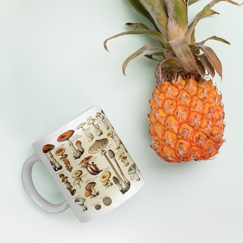 Peut inclure: Une tasse en c&eacute;ramique blanche avec une illustration vintage de diff&eacute;rents types de champignons. La tasse a une anse et est d&eacute;cor&eacute;e d'une vari&eacute;t&eacute; d'esp&egrave;ces de champignons, notamment des chanterelles, des bolets et des morilles. Le fond est de couleur cr&egrave;me clair.